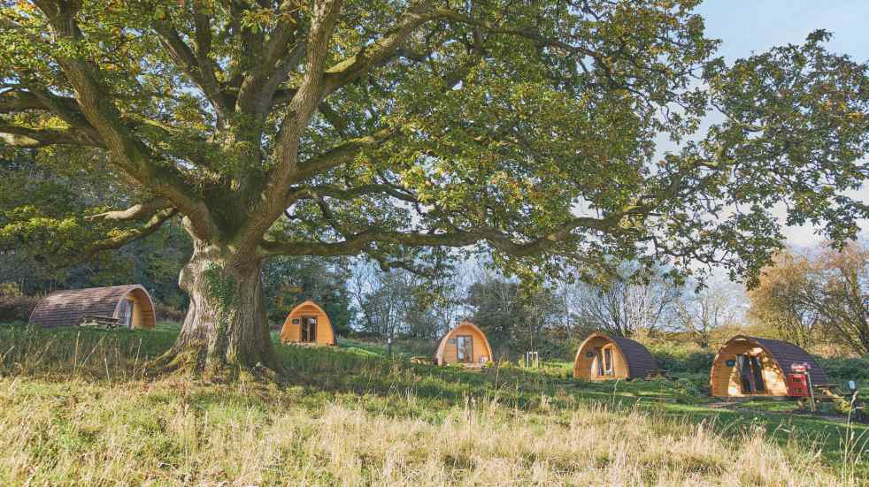 Glamping pods forest of dean